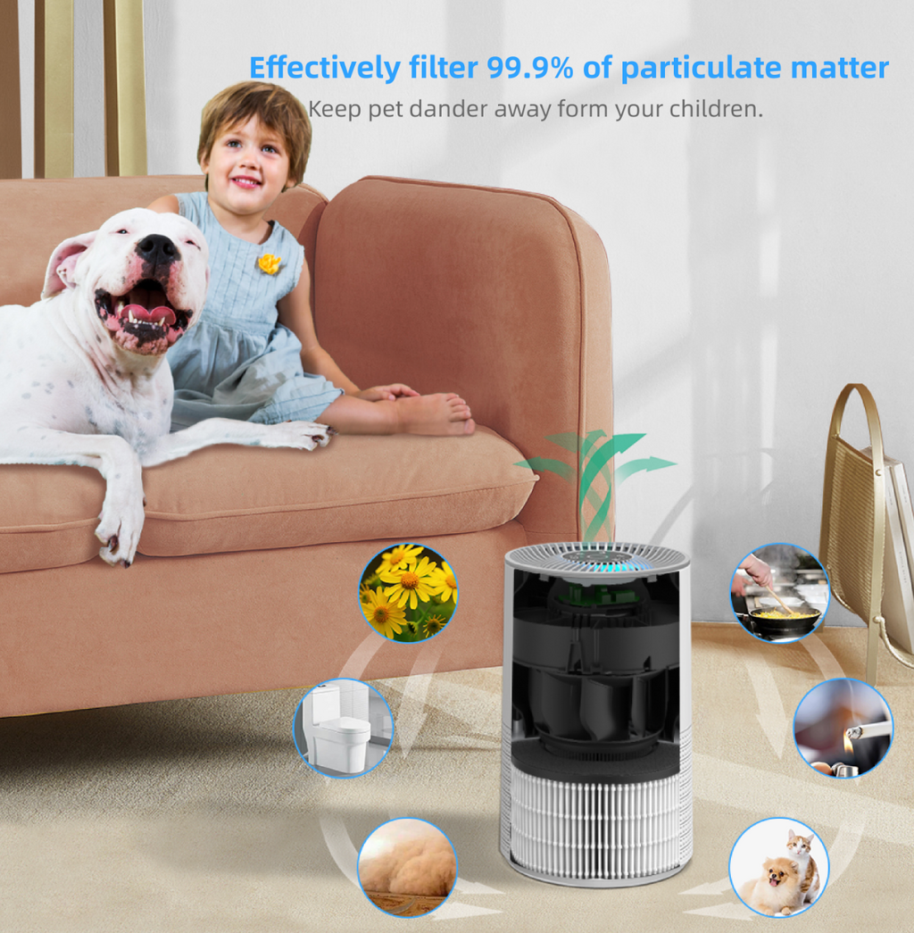 H13 HEPA 4-Stage Air Purifier